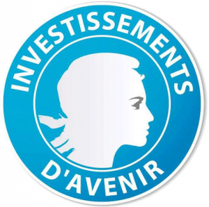 Investissements d'avenir, porteurs de programmes d'excellence en lien avec le SIRIC